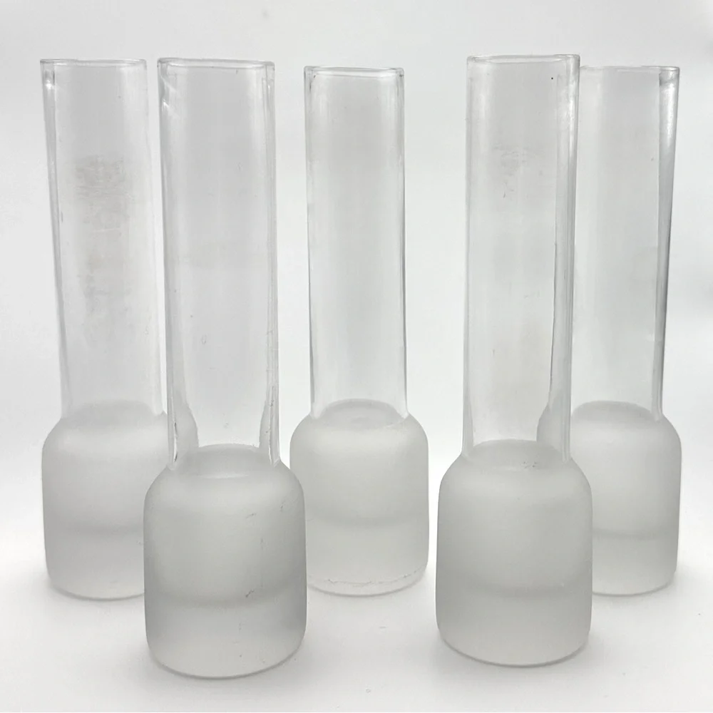 Small Clear Glass Tube Plant Propagation Vase Chunky Base Frosted Glass Bud Vase